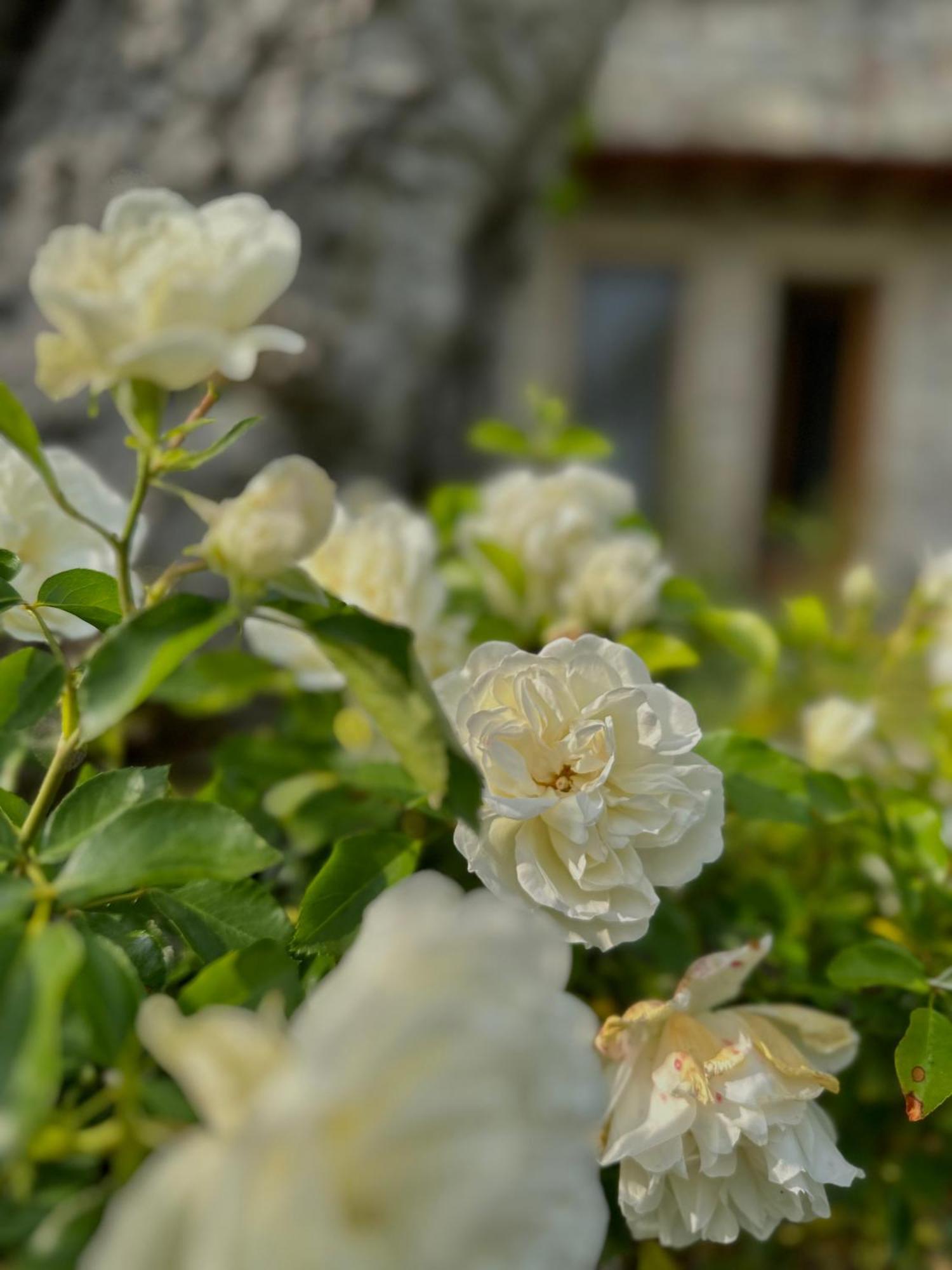 Holiday Home Sovenigo Puegnago sul Garda Exterior foto