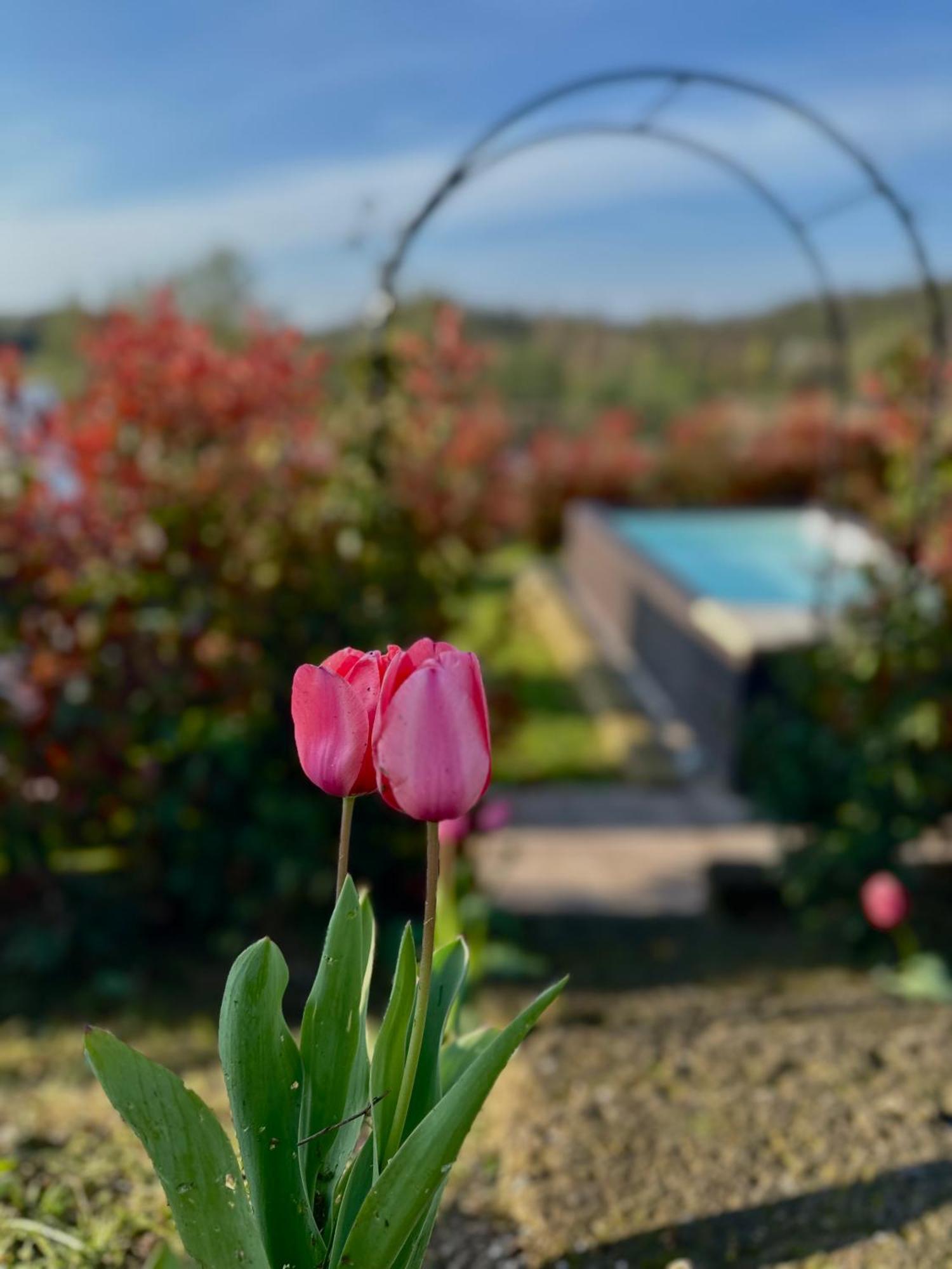 Holiday Home Sovenigo Puegnago sul Garda Exterior foto
